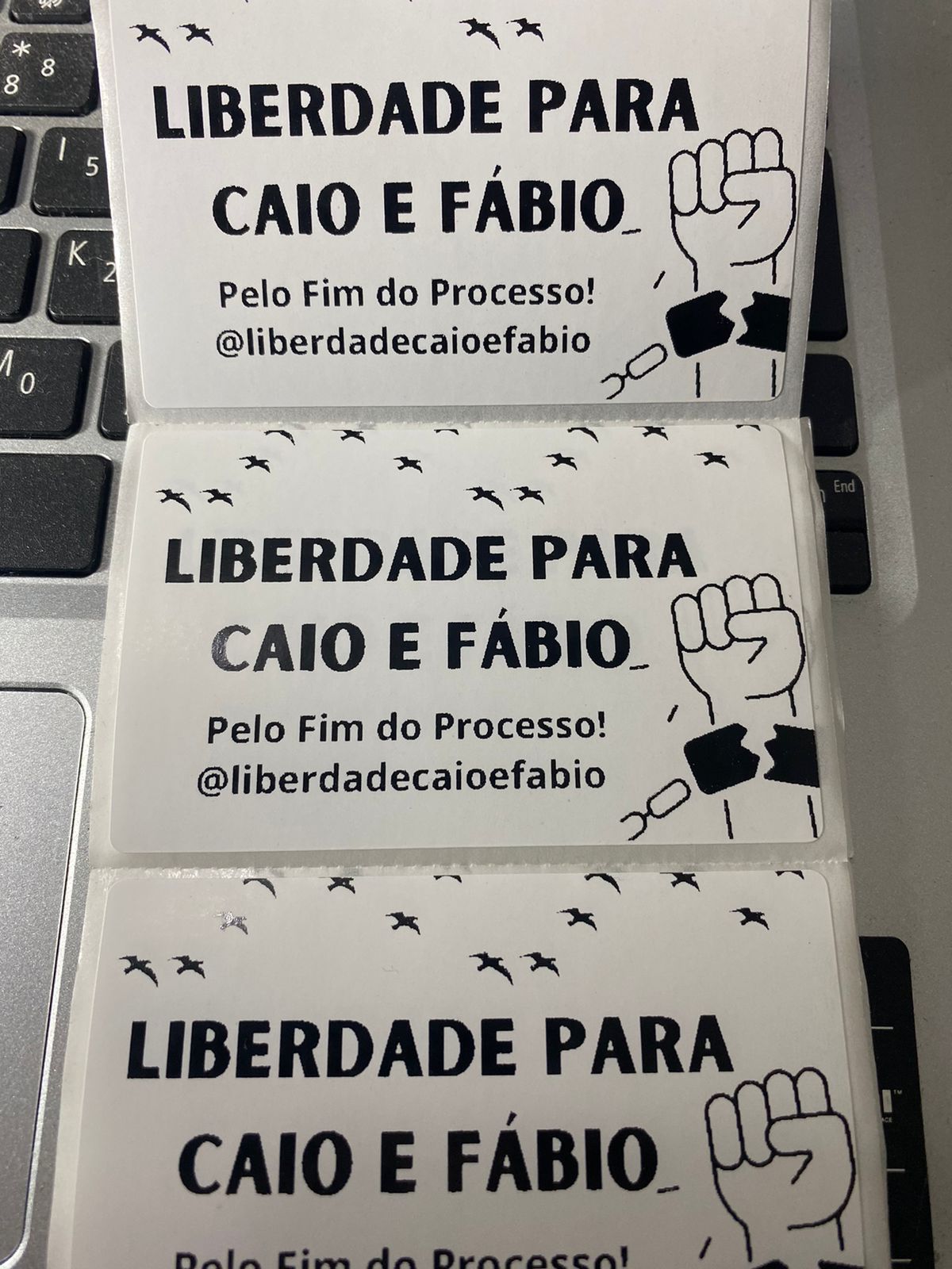 Em Defesa da Justiça e da Revolta: O Caso de Caio e Fábio no Julgamento pela Morte de Santiago Andrade