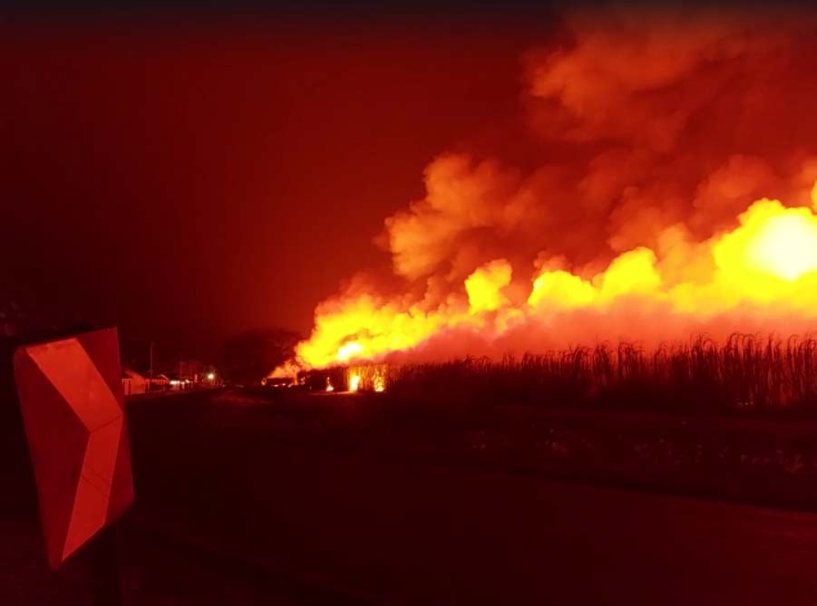 O Agro Não Planta a sua Comida, Ele Queima o País.